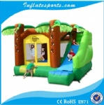 Inflatable Bouncer IS-BC-a3