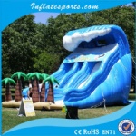 Inflatable Bouncer IS-S-b1